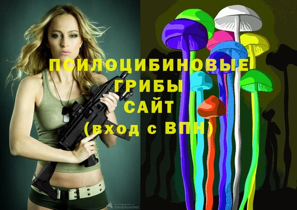стафф Арсеньев