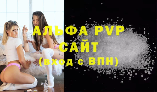 стафф Арсеньев